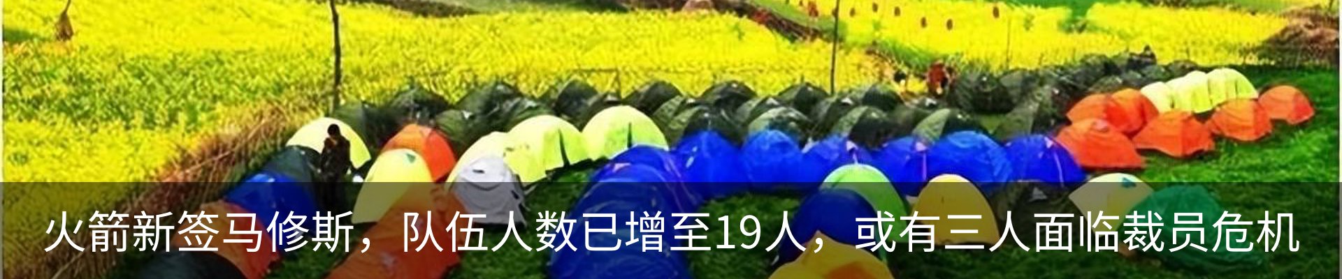 最新动态